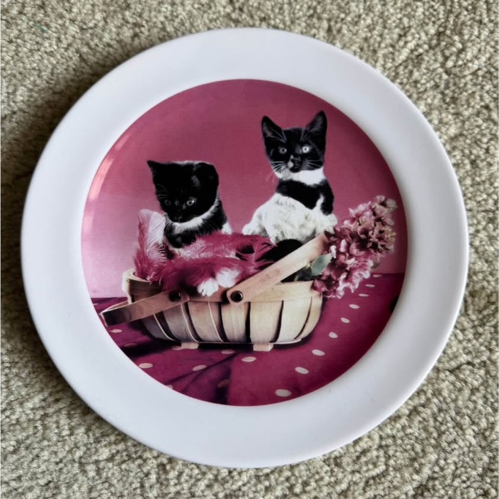 Harry Potter Umbridge decorative plate - from Warner Brothers